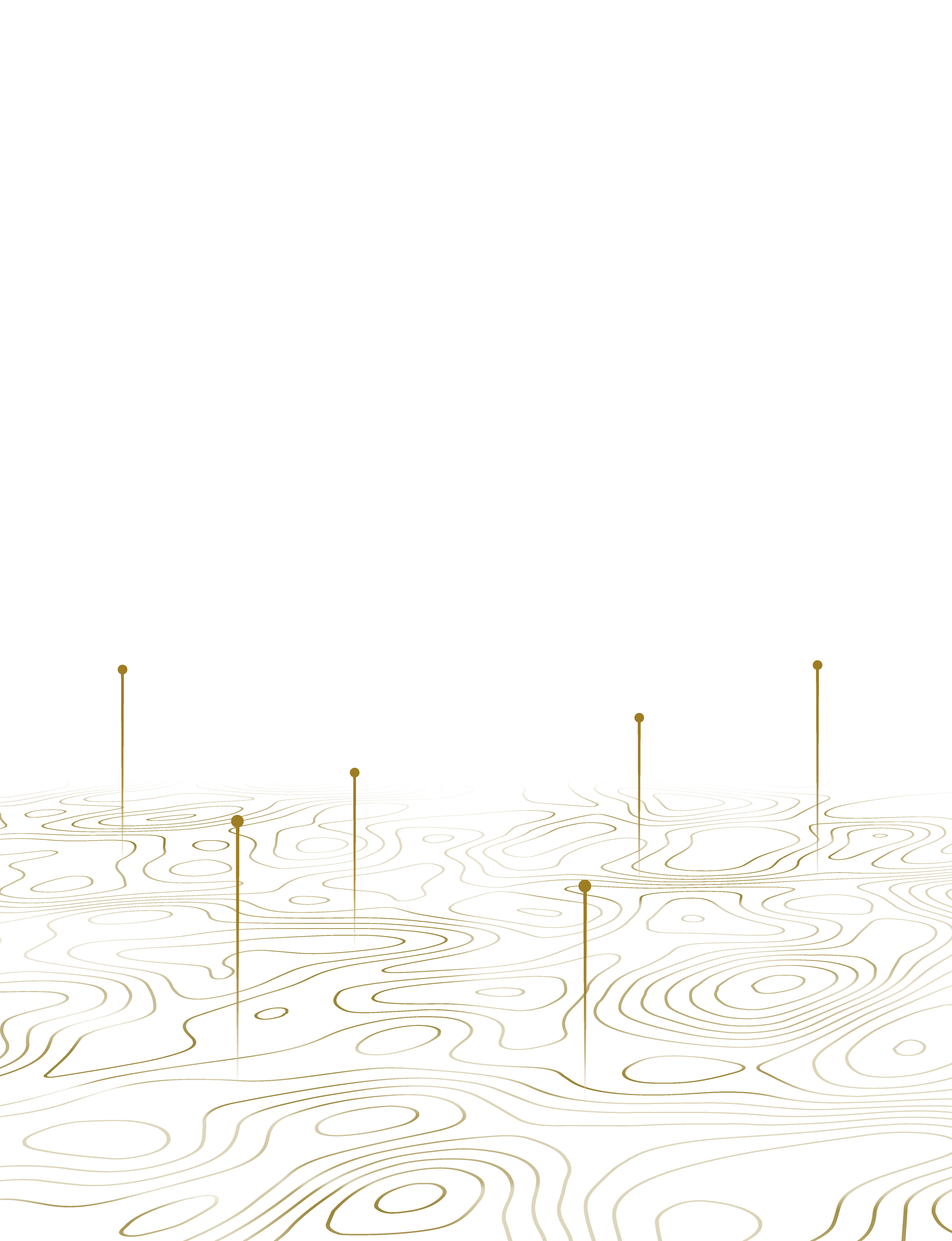 01_RGLD_Cover Back.jpg