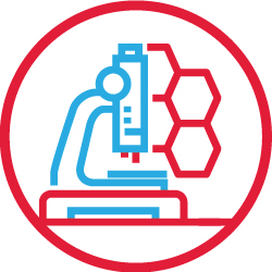 02_MRNA_PXY_2026_science.jpg