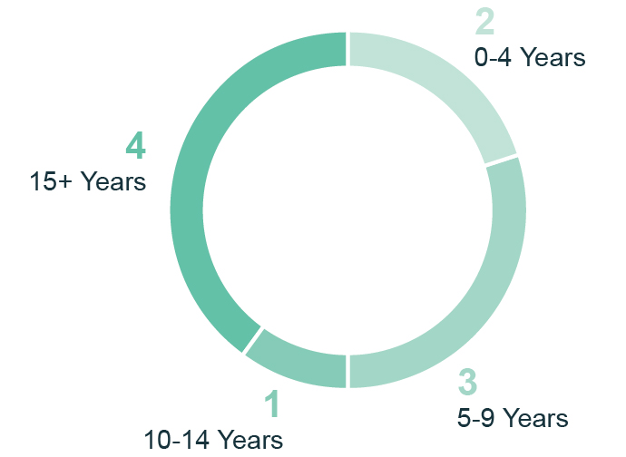 03_PRO014220_pie_boardcomp_WO1_SME IE1 Fixes_tenure.jpg