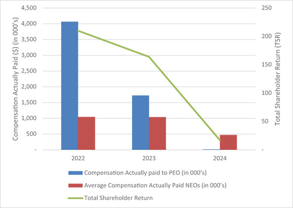 [MISSING IMAGE: bc_paidvstsr-4c.jpg]