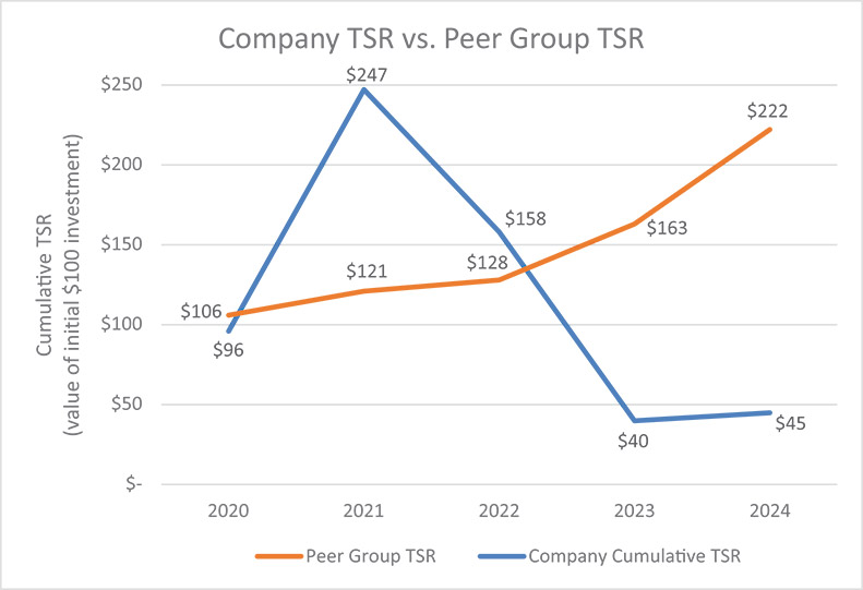 [MISSING IMAGE: lc_tsrvspeergroup-4c.jpg]