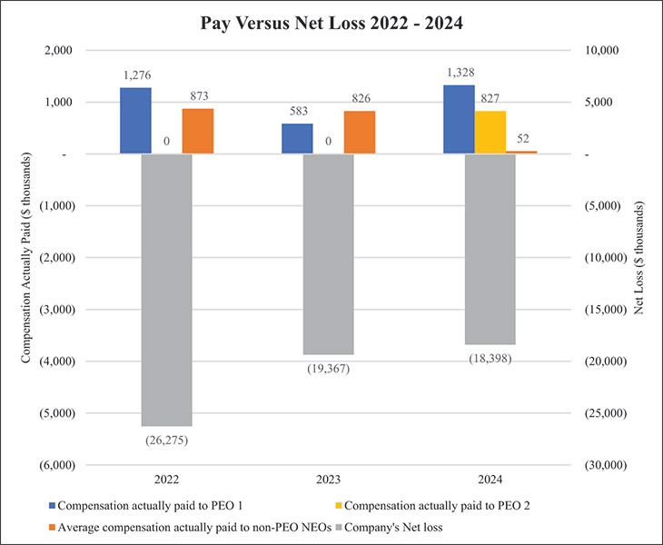 [MISSING IMAGE: bc_paynetloss-4c.jpg]