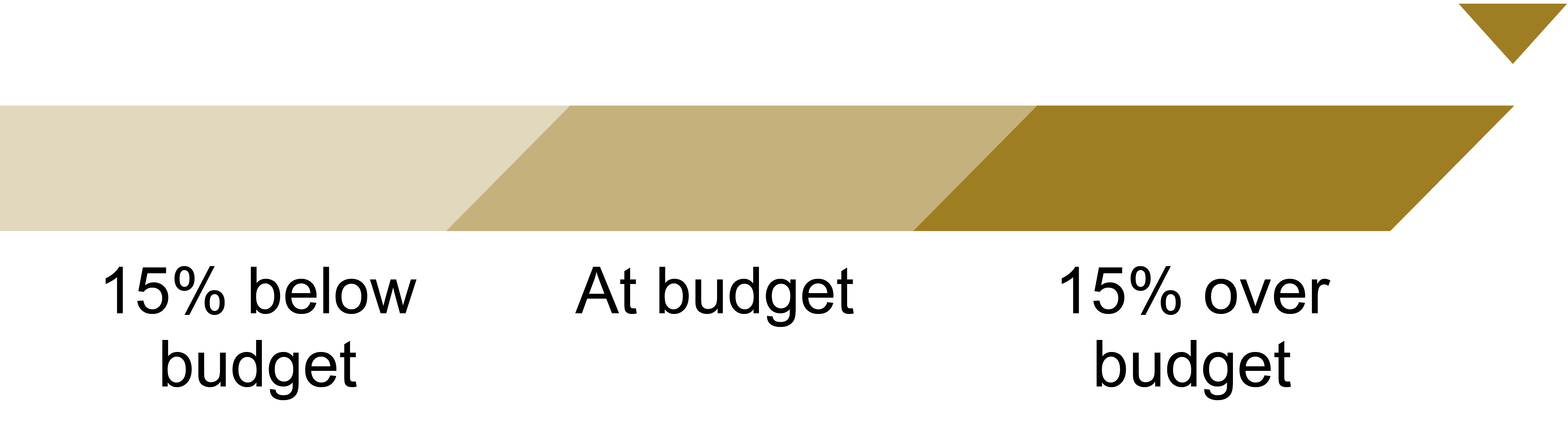 03_RGLD_Exec_Comp_net GEO.jpg