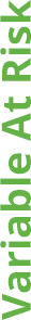 04_435390-1_executivecompensationtable_variableatrisk.jpg