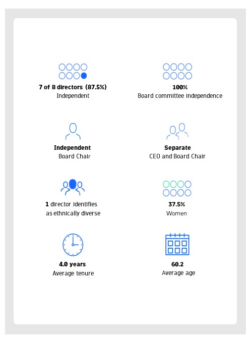 Board highlights - Proxy Statement 2025.jpg