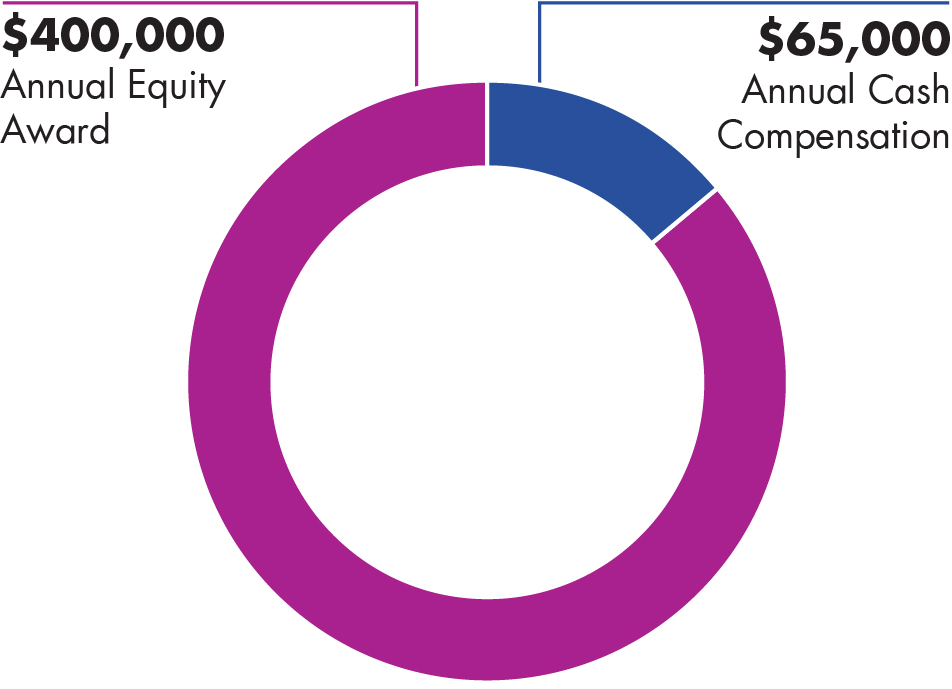 03 PRO012689_pie_indi-director-comp.jpg