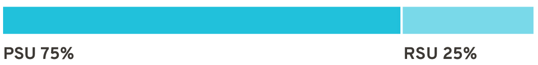 03 439032-1_bar_2024 Comp Highlights_CEO.jpg