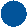 02_icon_Director Demographics-04.gif