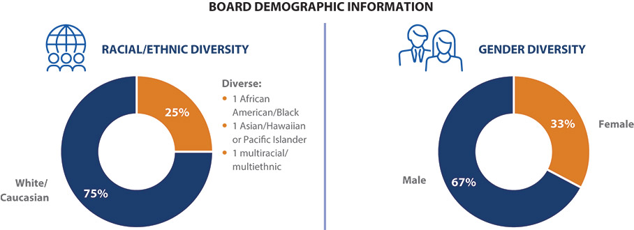 [MISSING IMAGE: pc_boarddiversity-pn.jpg]