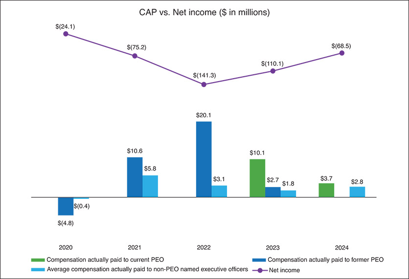 [MISSING IMAGE: bc_capvsnetincm-4c.jpg]