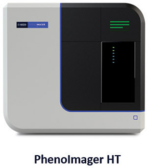 [MISSING IMAGE: ph_phenolamgerht-4clr.jpg]