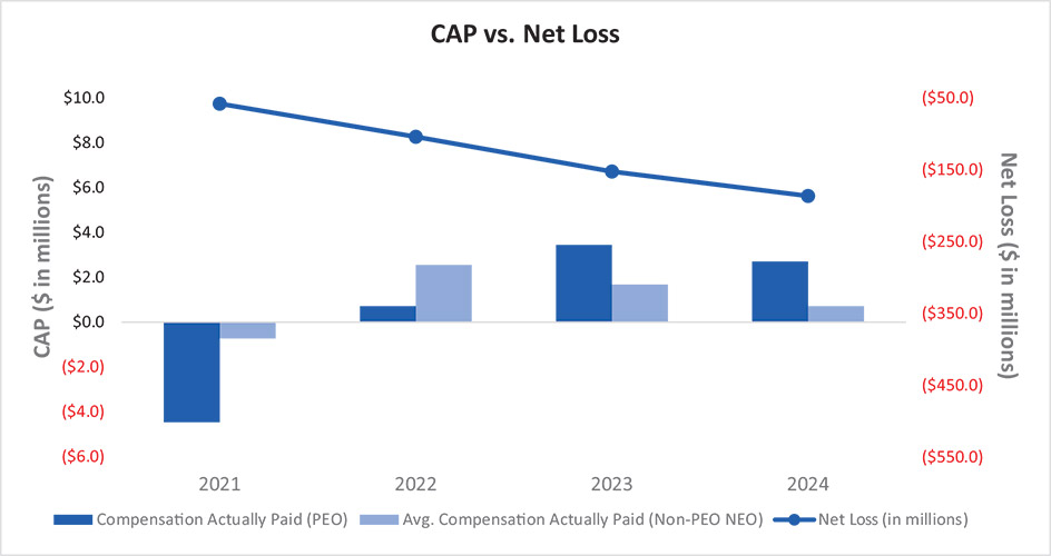 [MISSING IMAGE: bc_capvsnetloss-4c.jpg]