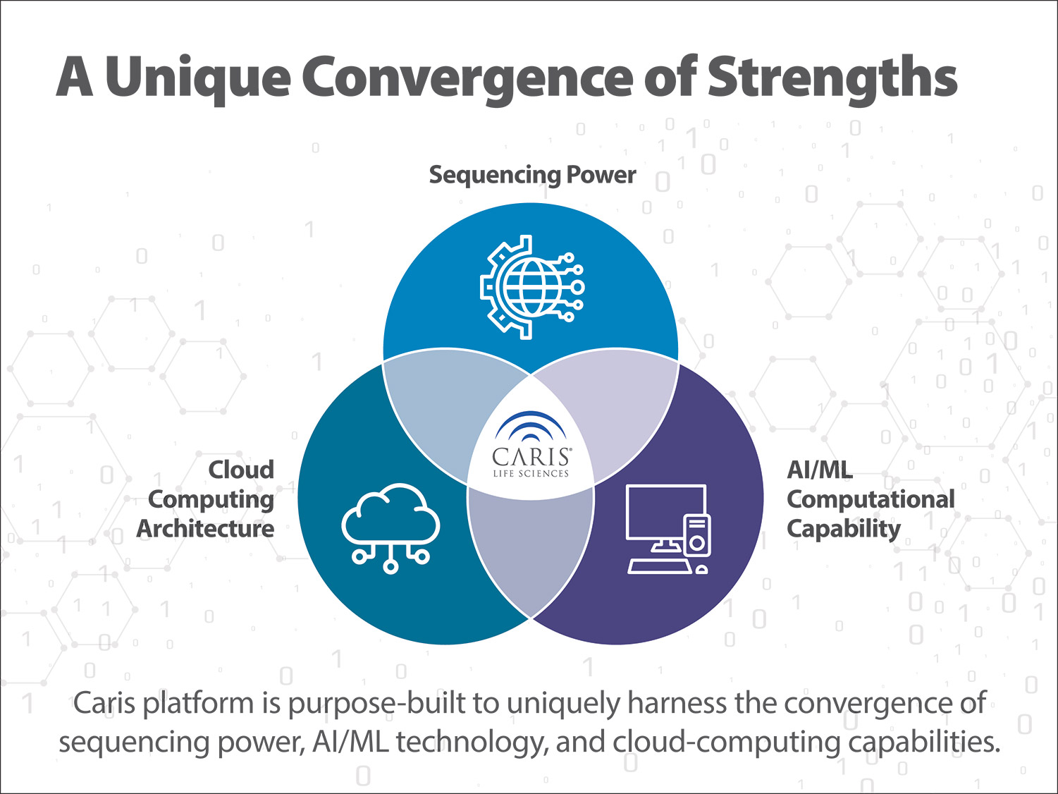 [MISSING IMAGE: pc_unique-4c.jpg]