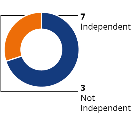 03_IPG Photonics_pie_boardsnapshot_independence.jpg