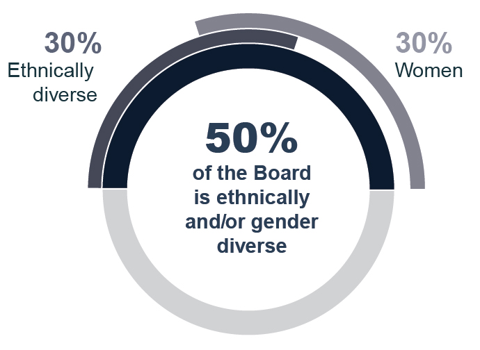 03_PRO014220_pie_boardcomp_WO1_SME IE1 Fixes_diversity.jpg