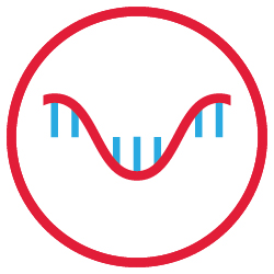 02_MRNA_PXY_2026_drug.jpg
