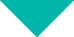 02 425462-1_icon_arrows_down-teal.jpg