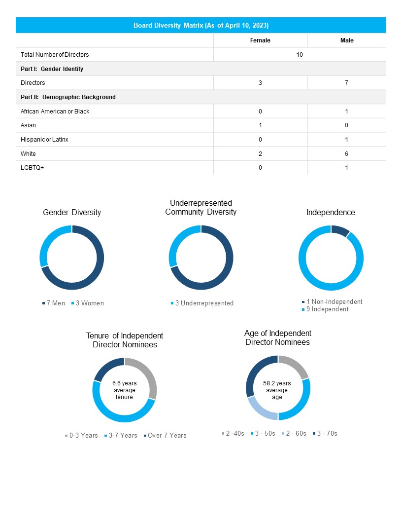 diversity matrix pic 2023.jpg