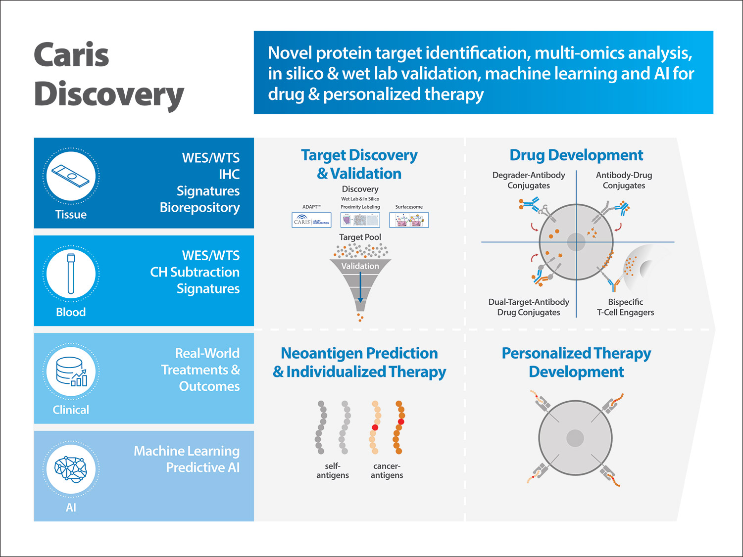 [MISSING IMAGE: fc_discovery-4c.jpg]
