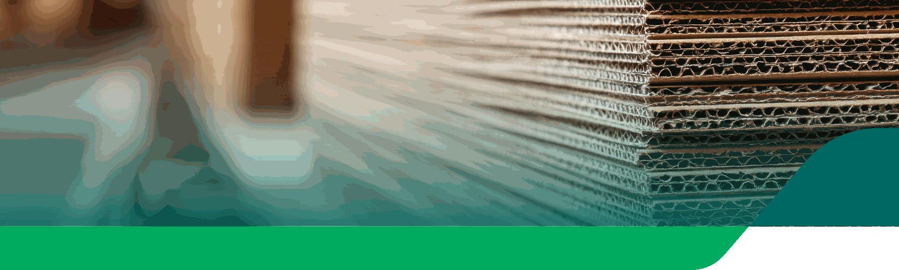 05_PRO014733_EXEC COMP.gif