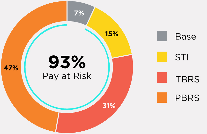 03 PRO013611_pie_pay mix_CEO.jpg