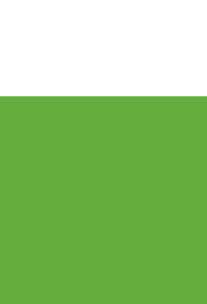 square_green.gif