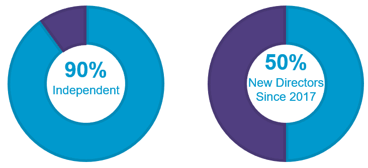 Director Demographic Graphic Final.gif