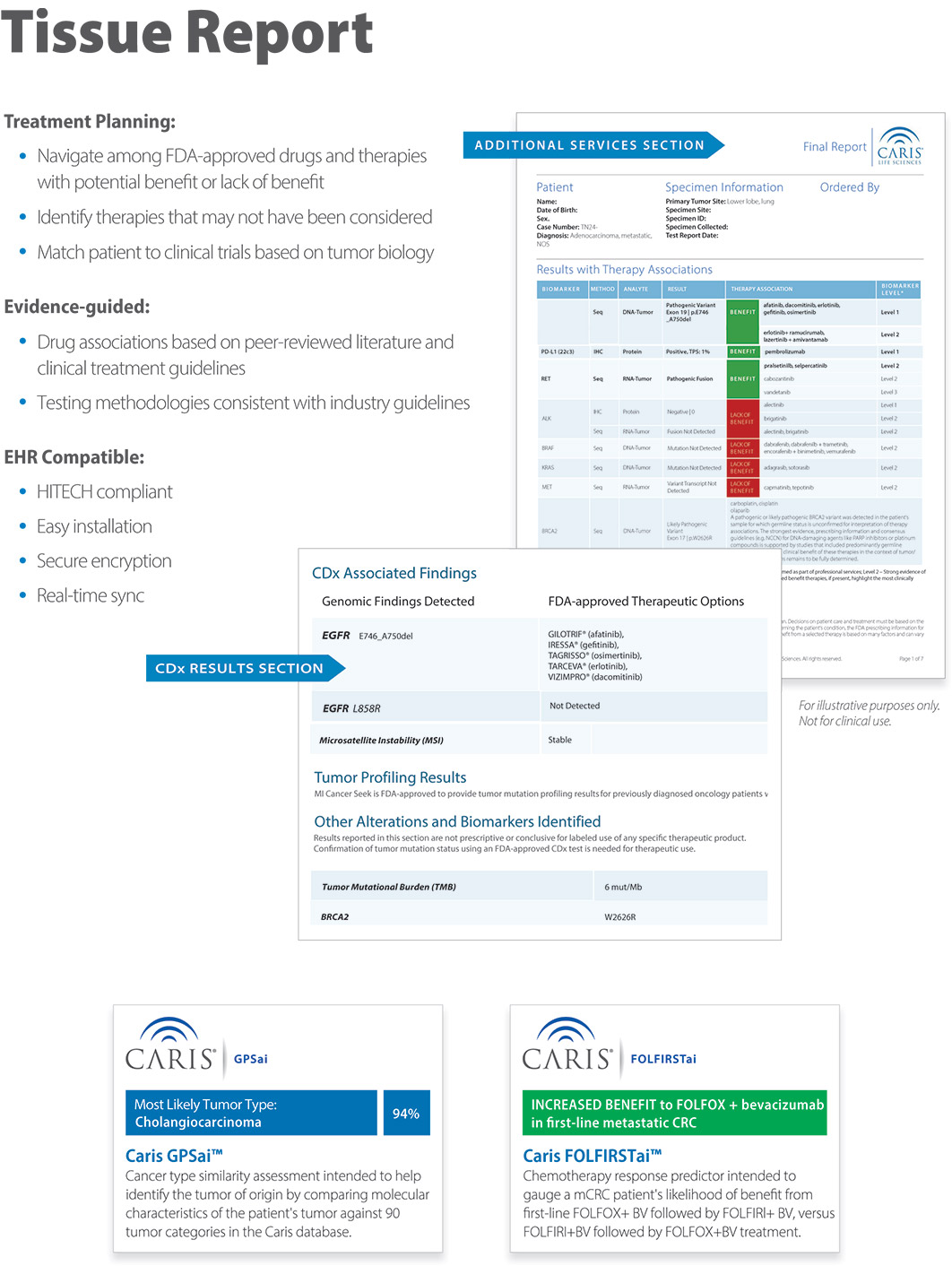 [MISSING IMAGE: fc_miprofile-4c.jpg]