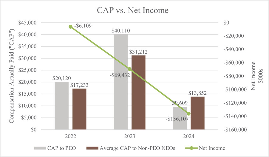 [MISSING IMAGE: bc_capnetincome-pn.jpg]