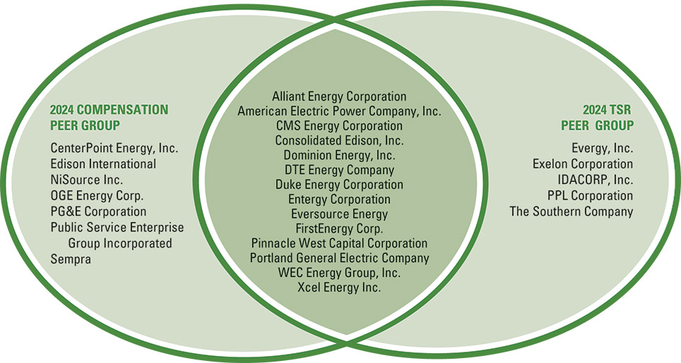[MISSING IMAGE: fc_compens-pn.jpg]