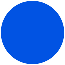 02_Pro013656_icon_Summary of Director_member.jpg