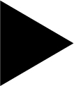 02 438536(3)_icons-triangle blak.jpg