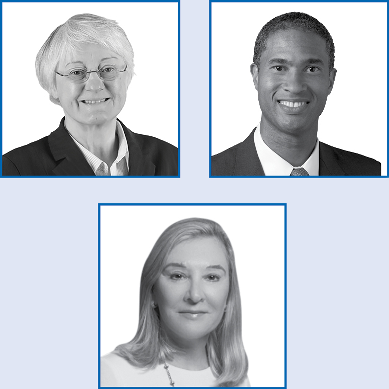 05_ADI_Corp Gov_audit committee.jpg