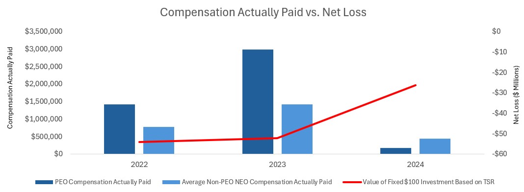 Net Loss graph.jpg
