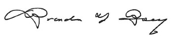 Brandon Boey_signature.jpg