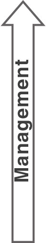 04_MAT_Corp Gov_management arrow.jpg