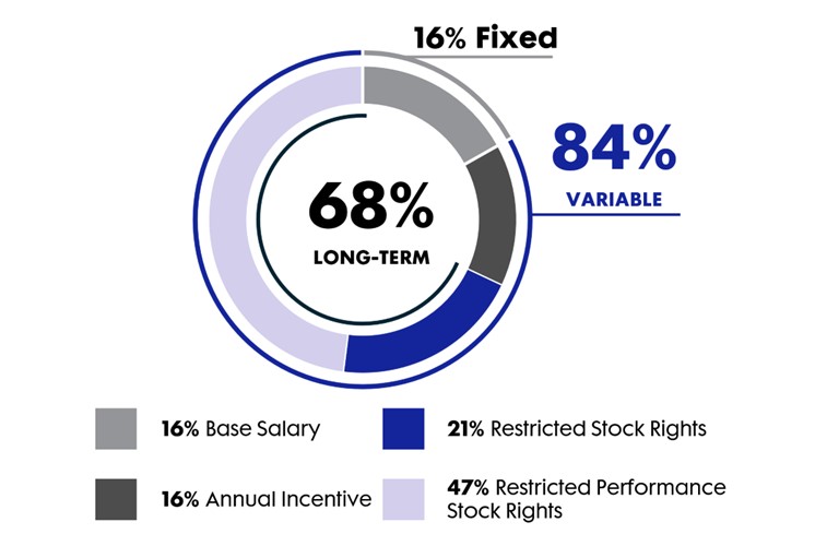 Other NEOs Pie Chart.jpg