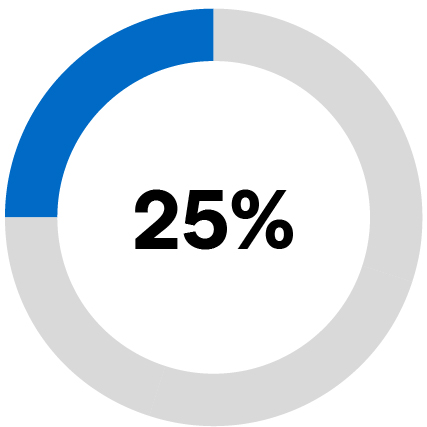 03_436990_piechart_strategic.jpg
