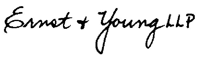 e&ysignature.jpg