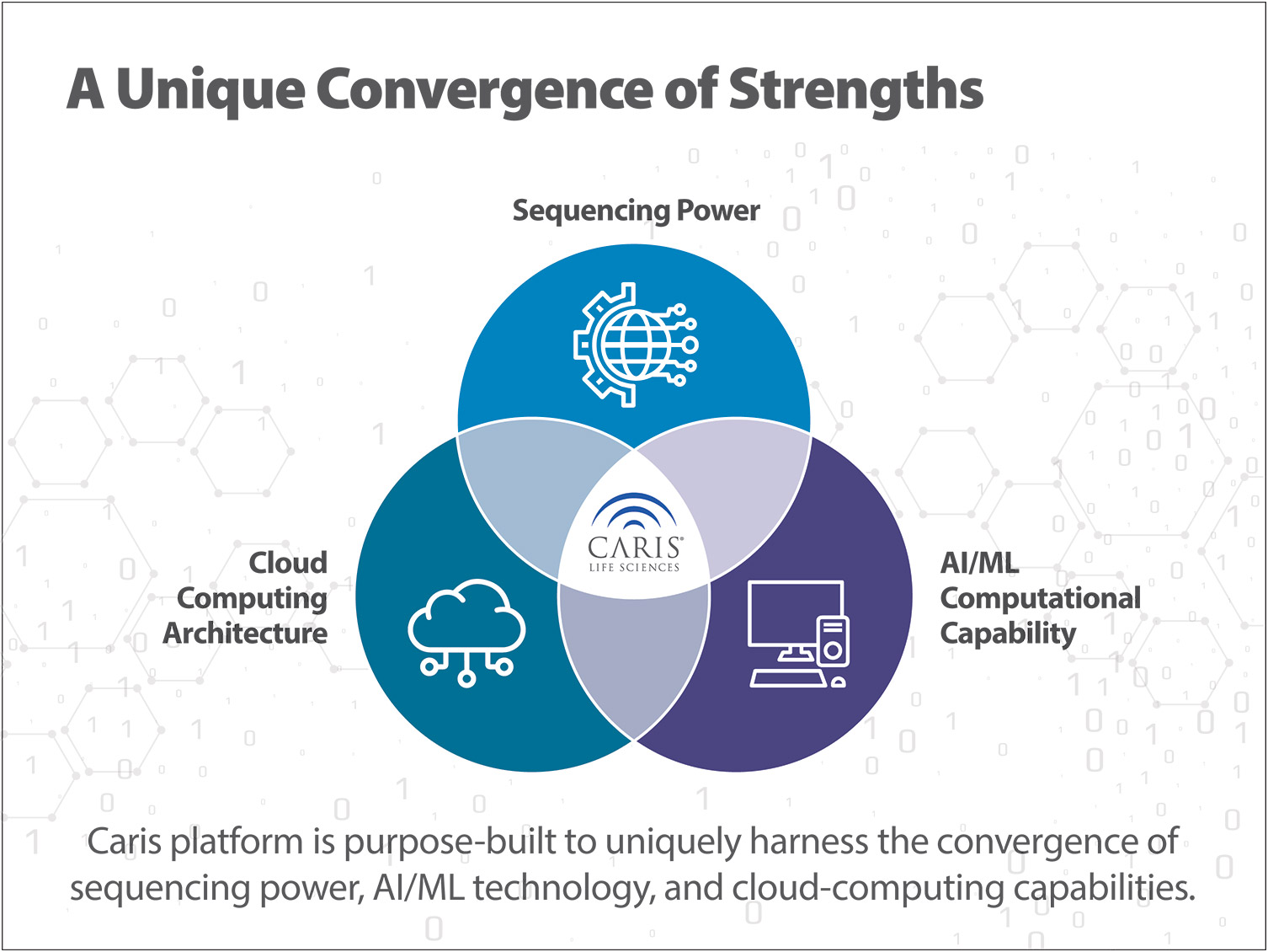 [MISSING IMAGE: pc_unique-4c.jpg]