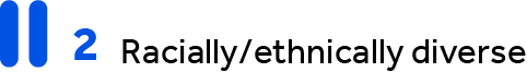 04_Pro013656_Board Nominee Demographics_Racial-ethnic diversity.jpg