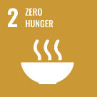 SDG_2.jpg