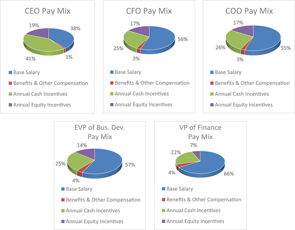 [MISSING IMAGE: pc_paymixanalysis-4c.jpg]