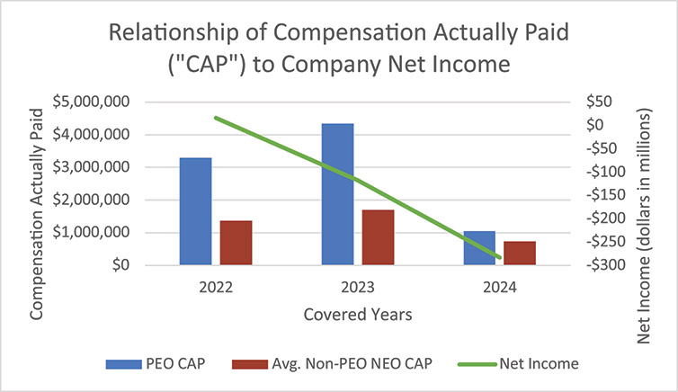 [MISSING IMAGE: bc_netincome-4c.jpg]