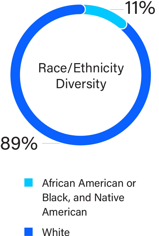 03_charts_Board Composition_race.jpg