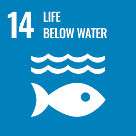 SDG_14.jpg