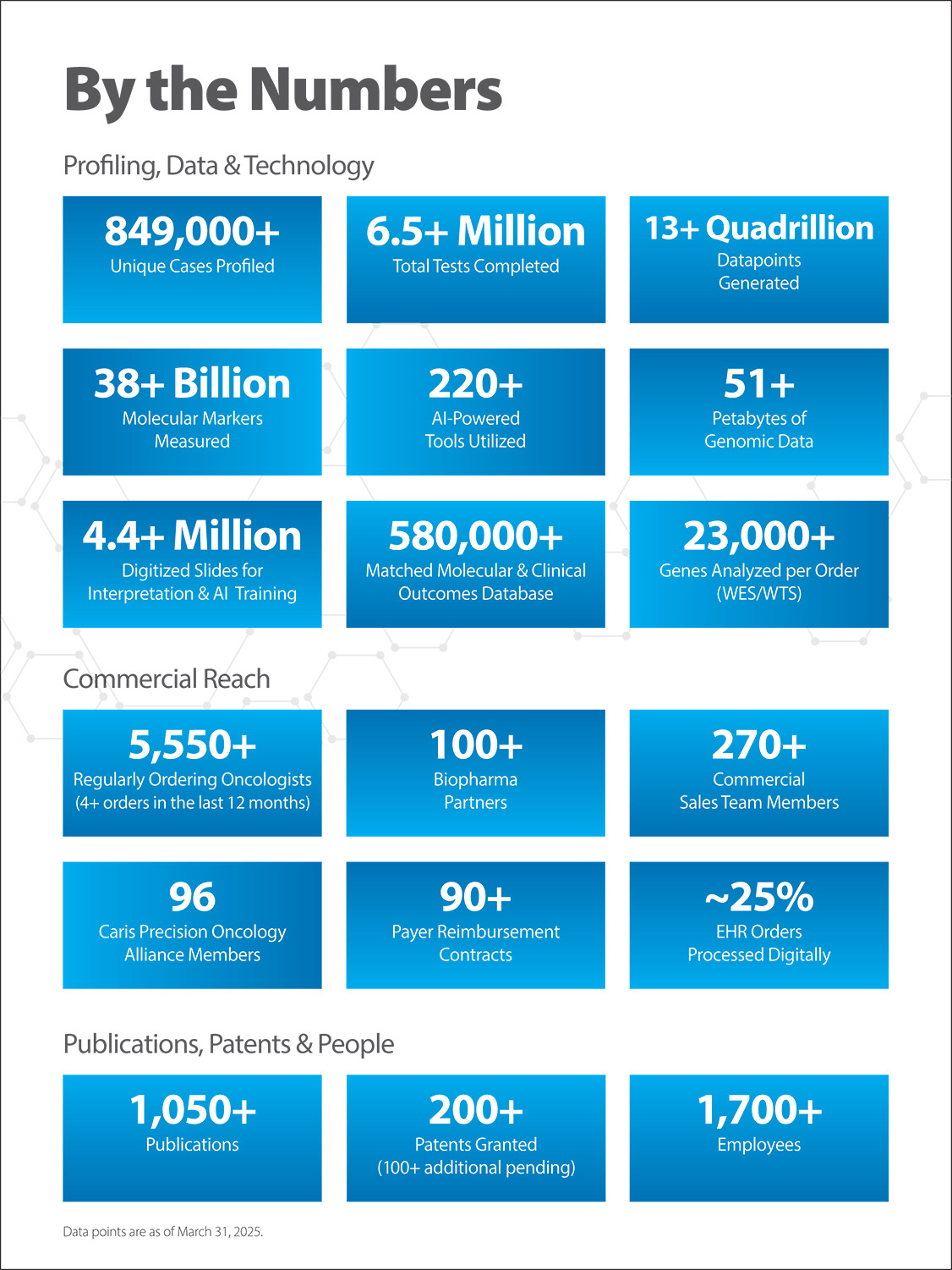 [MISSING IMAGE: pg_bynumbers-4c.jpg]