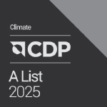 07_TT_CDP.jpg
