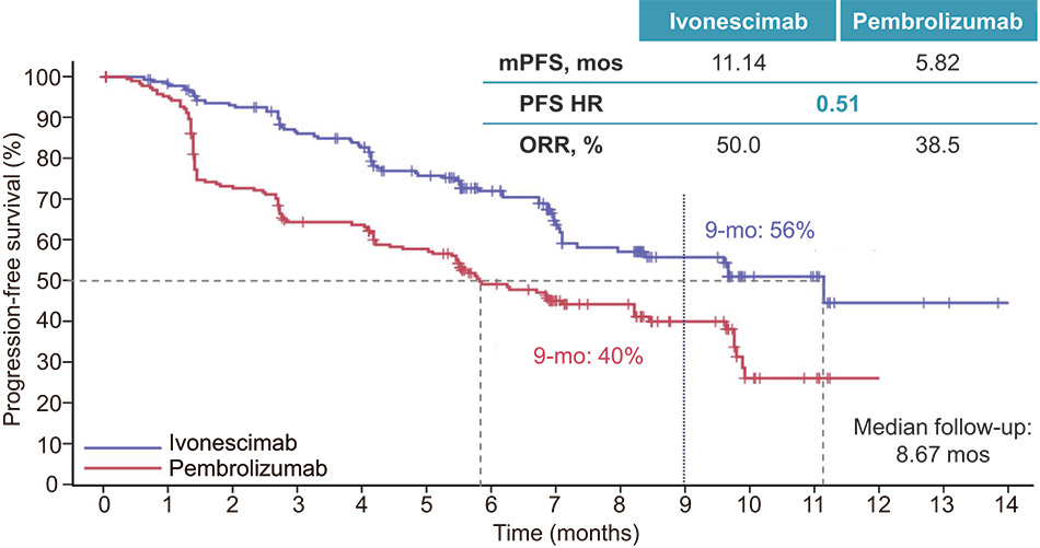 [MISSING IMAGE: lc_nsclc-4clr.jpg]