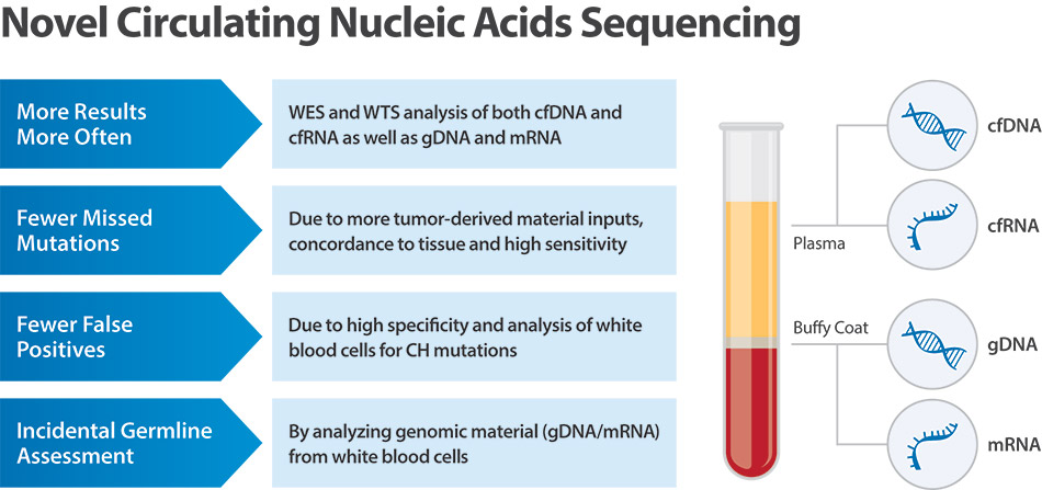 [MISSING IMAGE: bc_novelcircul-4c.jpg]